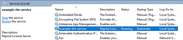 Example RLM Service